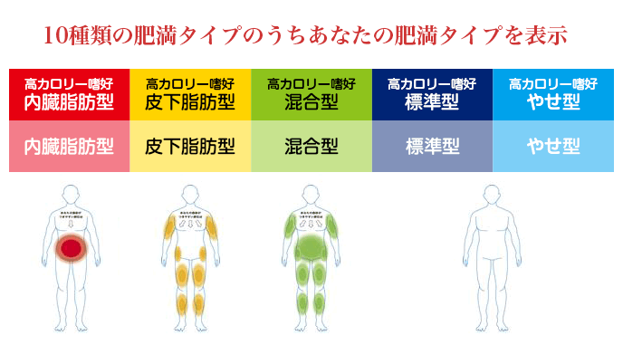 肥満タイプ